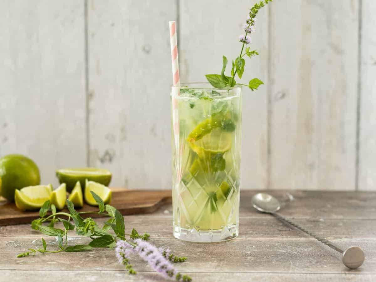 Mojito mocktail.