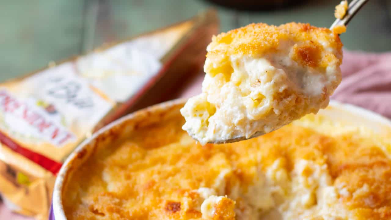 A spoonful of brie mac and cheese.